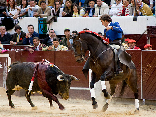 Templando la embestida