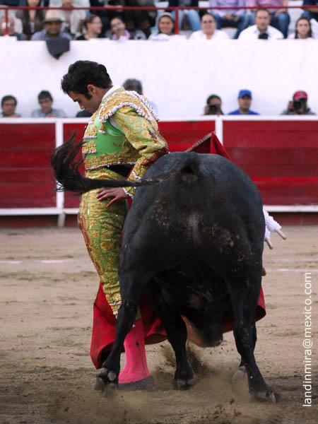 Ceido por la espalda