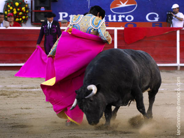 Chicuelinas de Sebastin