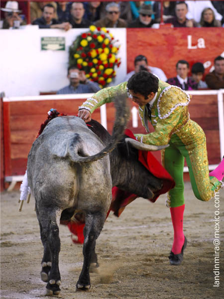 Partido en dos