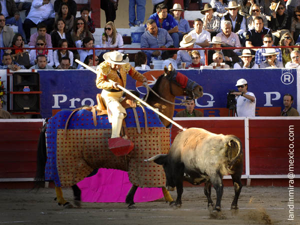 Jos Doblado en la suerte de varas