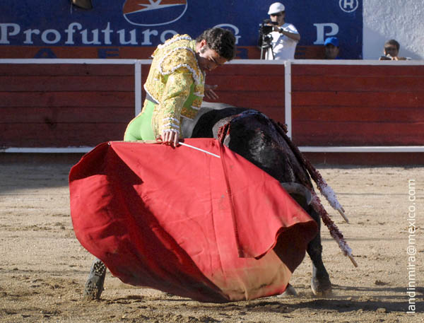 Toreo en redondo