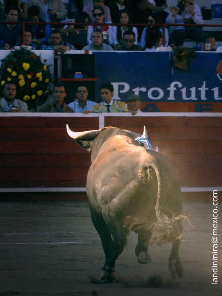 Segunda de Feria en Len