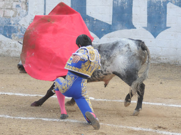 Rodilla en tierra