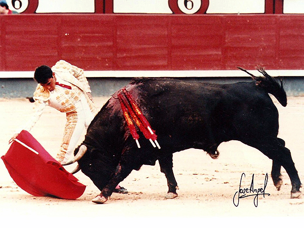 Aquella tarde en Las Ventas