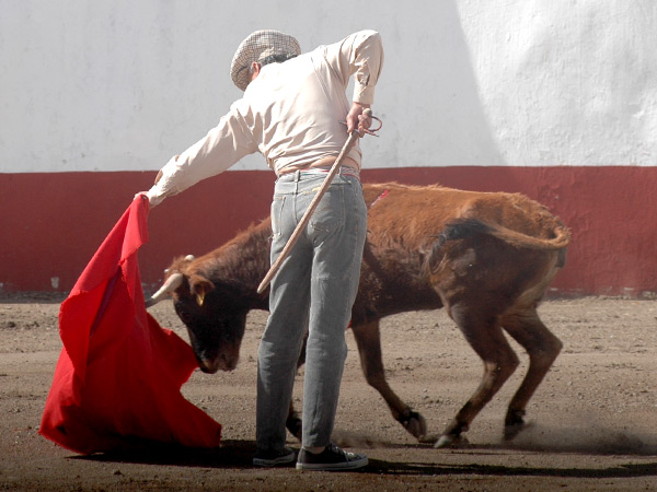 Cintura rota