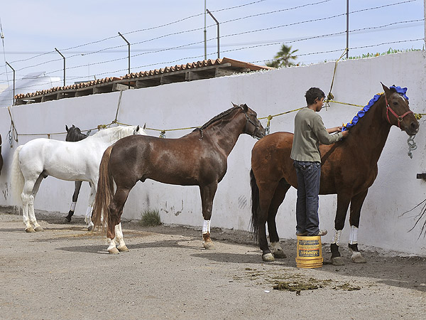 Esperando la hora