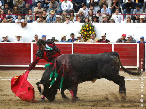 Faena en los medios