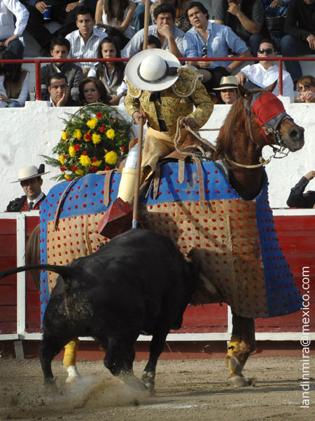 La pelea en el peto