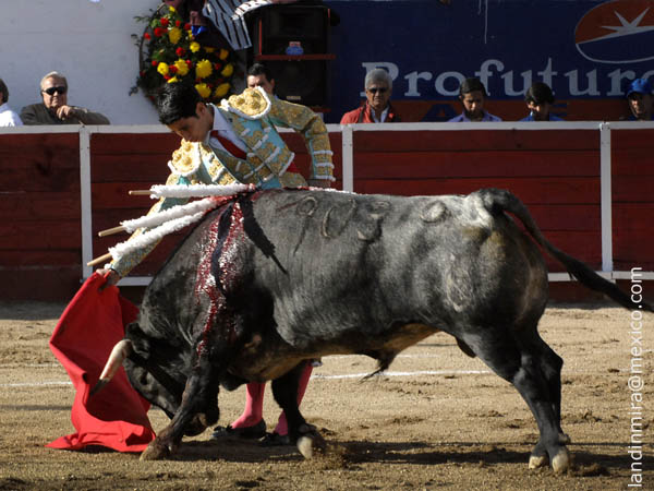 Nuevo matador de toros