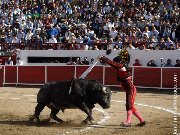 Manolo Fuerte en banderillas