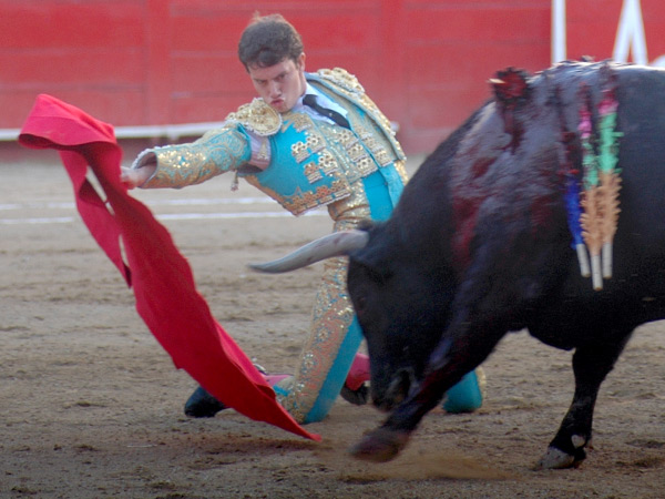 Con ansias de novillero