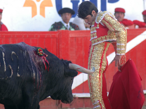 Metido entre los pitones