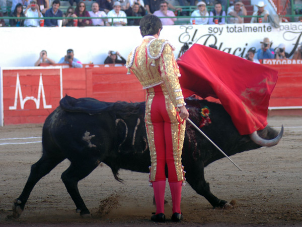 En un palmo de terreno