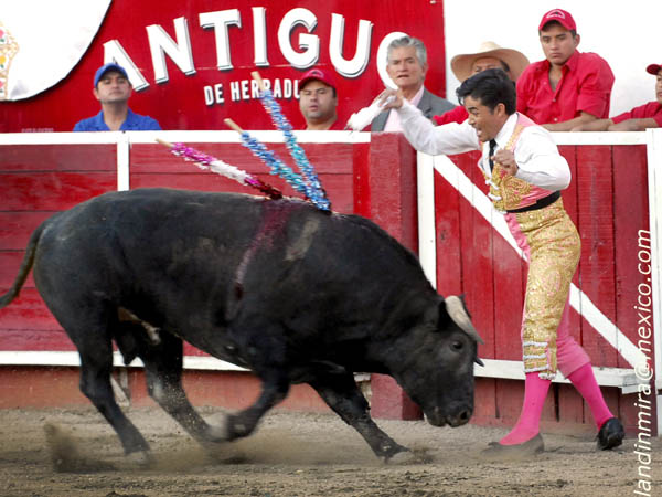 Banderillas cortas