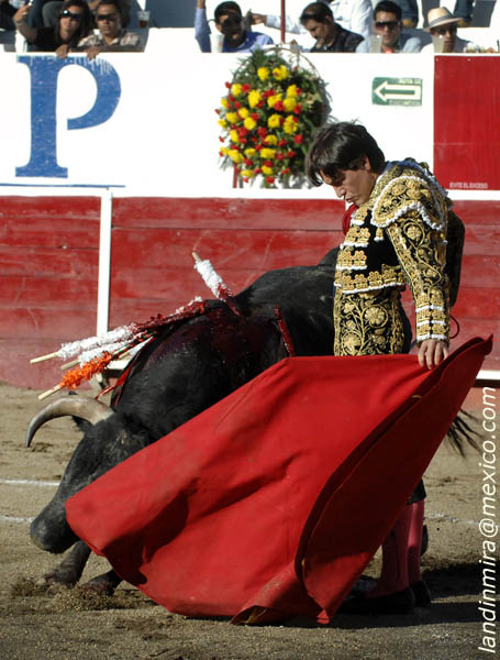 Tirando del ejemplar