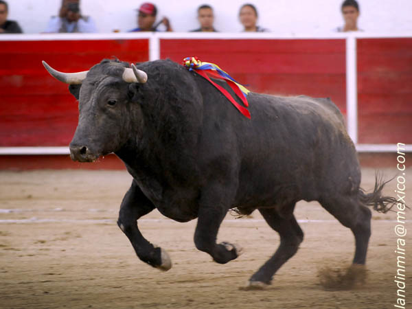 Tercera de Feria en Len