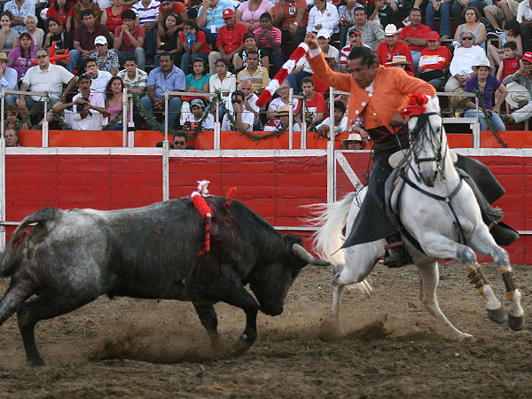 Dejando la banderilla