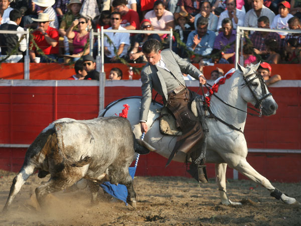 Toreando con la banderola