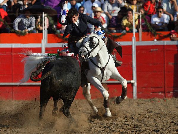 Morante mordiendo el testuz