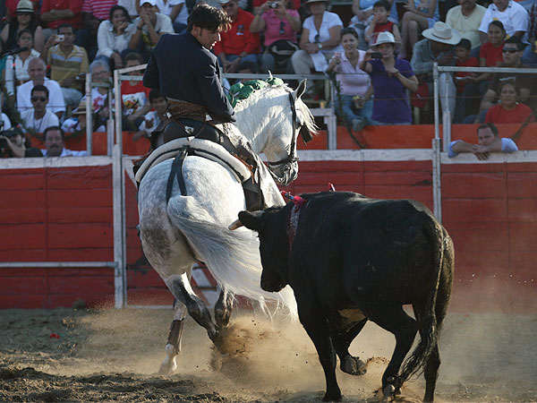 Toreando