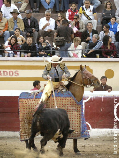 Nono, en la suerte de varas