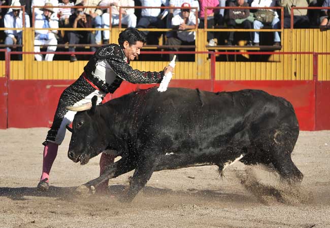 Con las orejas y el rabo