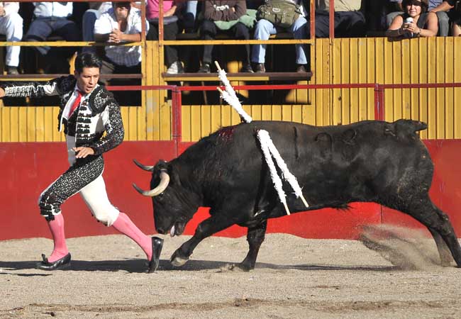 Despus de clavar los palos