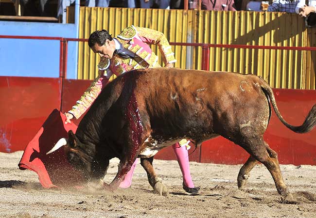 Alargando la embestida