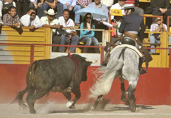 Encelando la embestida