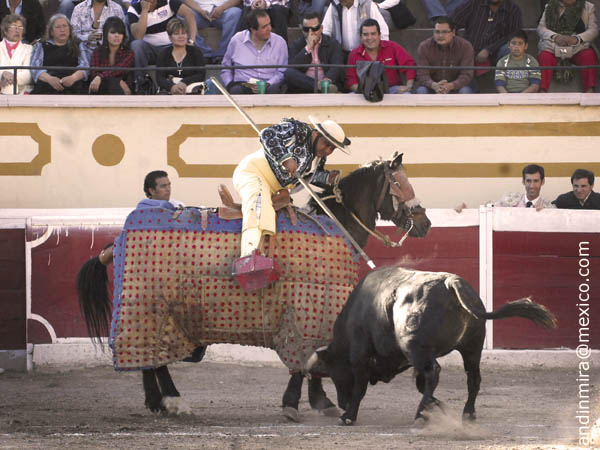 La vara de Paco