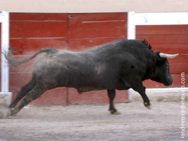 Comienza la Feria en La Chona