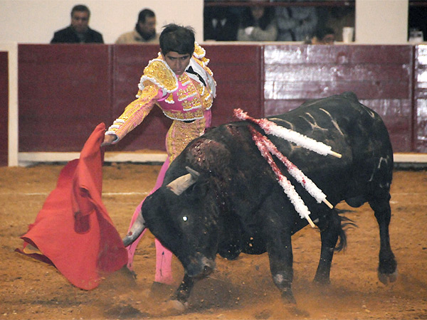 Alargando la embestida