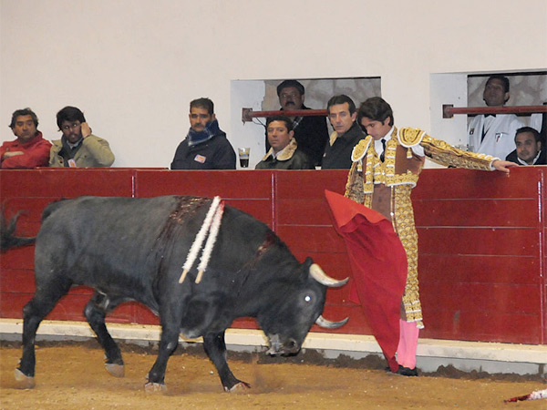 El comienzo de la faena