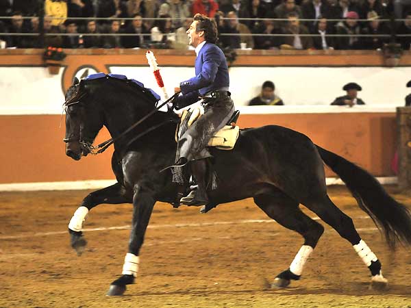 Caballero en plaza