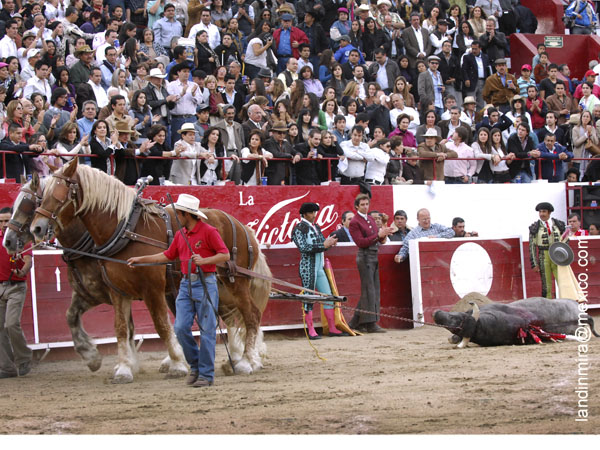 Ovacin y arrastre lento