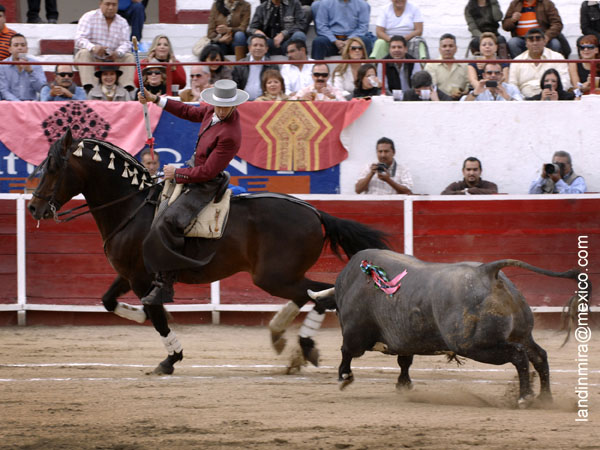 Rodando la jaca