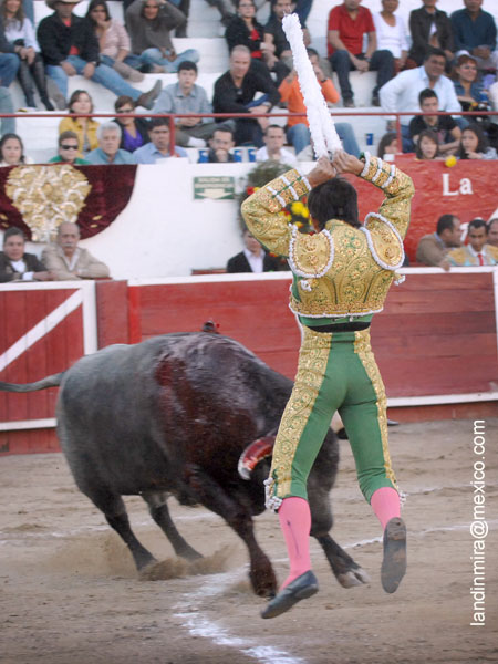 En pleno vuelo