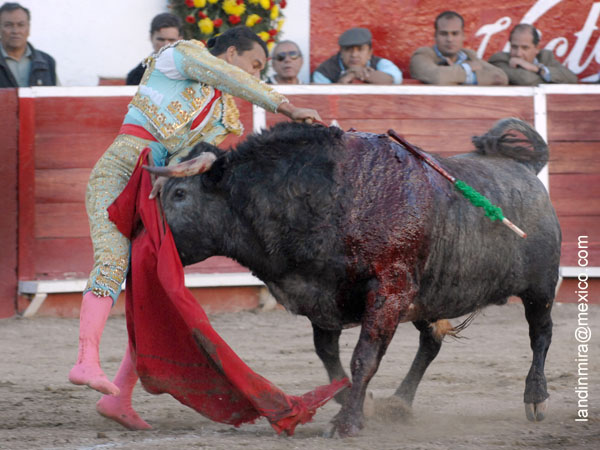 Estocada para una oreja