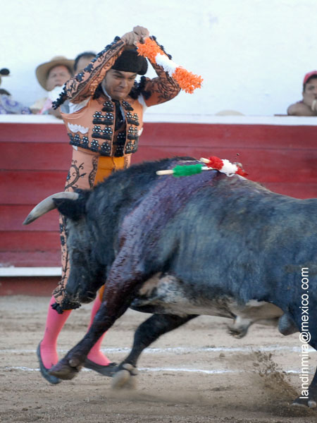 Examinado en Irapuato