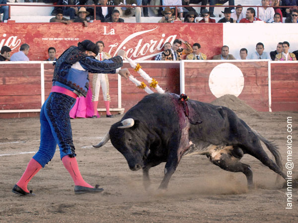 Bricio en banderillas