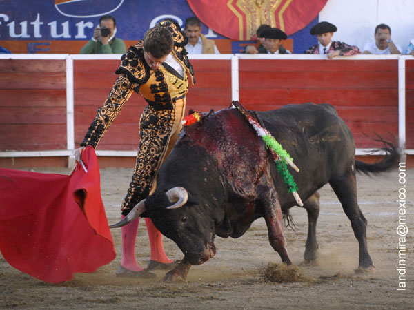 Torero clsico