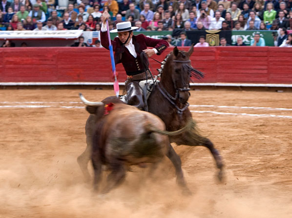 A porta gayola