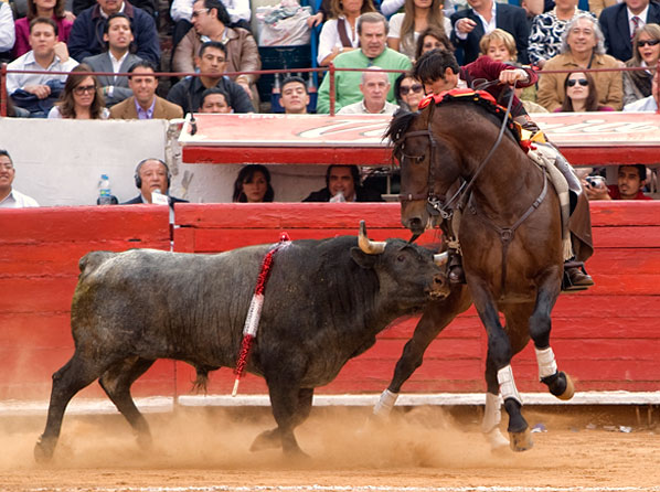 Quitndose la cornada