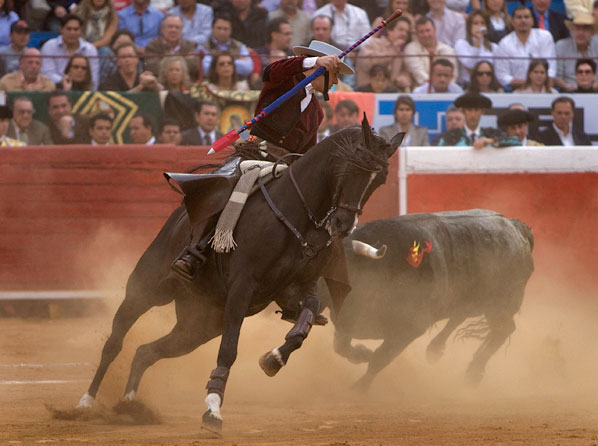 Encelando al toro