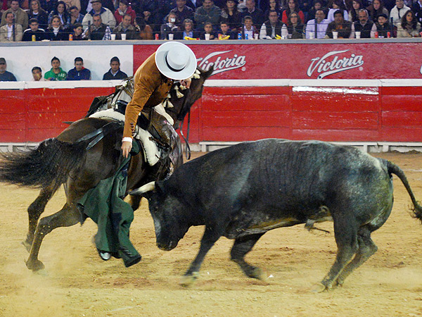 Diego Ventura, toreando