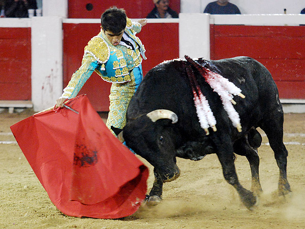 Faena de altos vuelos