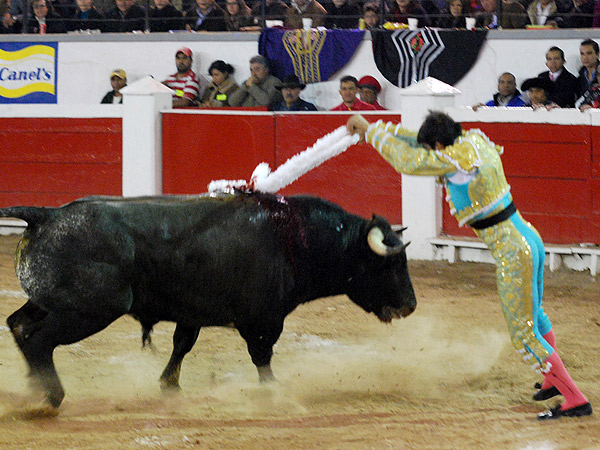 Vibrante con las banderillas