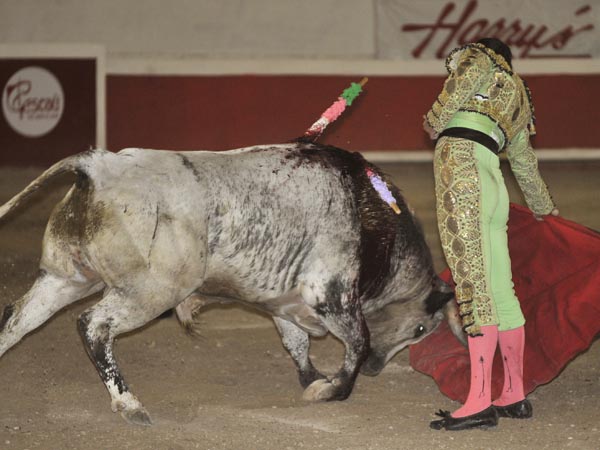 El Mingo y su derechazo