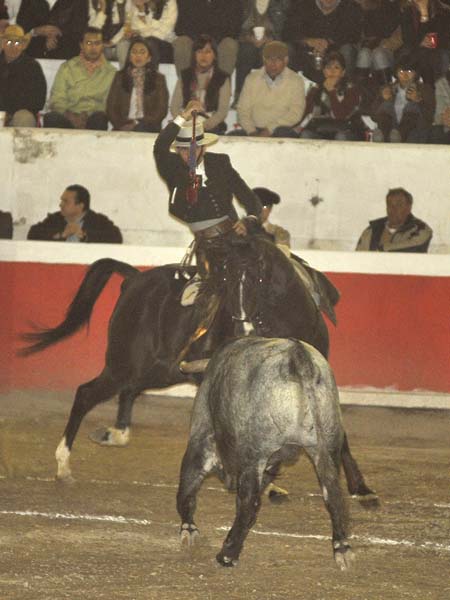 Frente al toro